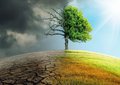 „Zmiana Klimatu: Nauka Versus Postprawda”