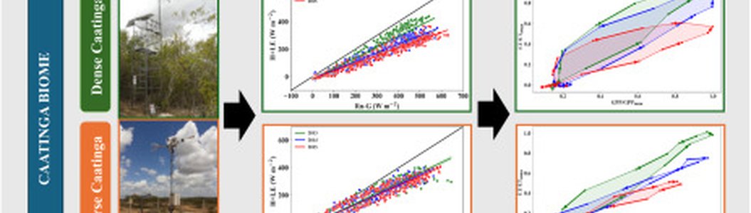 zdjęcie-Energy balance and Evapotranspiration response to environmental variables in the semi-arid Caatinga biome