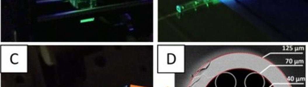 zdjęcie-Glass capillary systems for micro-volume fluorometry