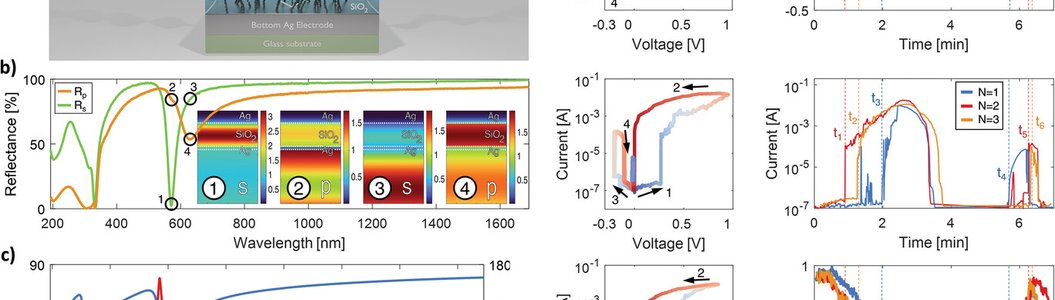 photo-Multilevel Optical Storage, Dynamic Light Modulation, and Polarization Control in Filamented Memristor System