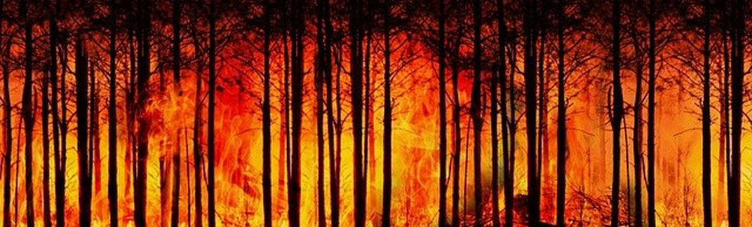 zdjęcie-Tajemnicze kratery na Syberii, rekordowe pożary w USA, czyli rzecz o zmianach klimatu