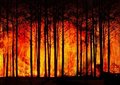 Tajemnicze kratery na Syberii, rekordowe pożary w USA, czyli rzecz o zmianach klimatu
