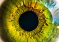 Potencjały wzrokowe wykorzystywane w BCI