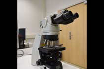 Nikon Eclipse Ci-L Microscope